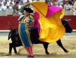 Lawmakers ban bullfighting