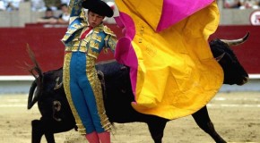 Lawmakers ban bullfighting