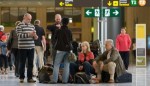 European air chaos brings Málaga airport operations to a minimum