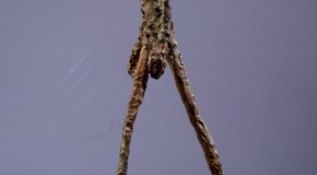 The Art of Alberto Giacometti on Display at The Picasso Museum Malaga