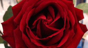 Celebrate St Valentines Day - "Its Wonderful" by Roberto Danova & Angelo Camassa