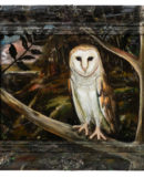 Kerkuil / Barn Owl2012, oil on wood and frame, 43 x 53 cm.