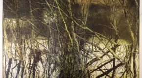 World Fine Art Professionals and their Key-Pieces, 474 - Marten Hazelaar